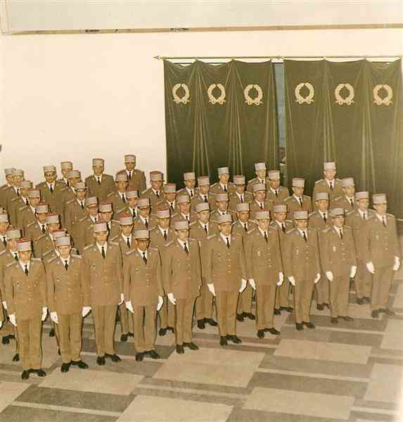 49495r_2 (Medium).jpg